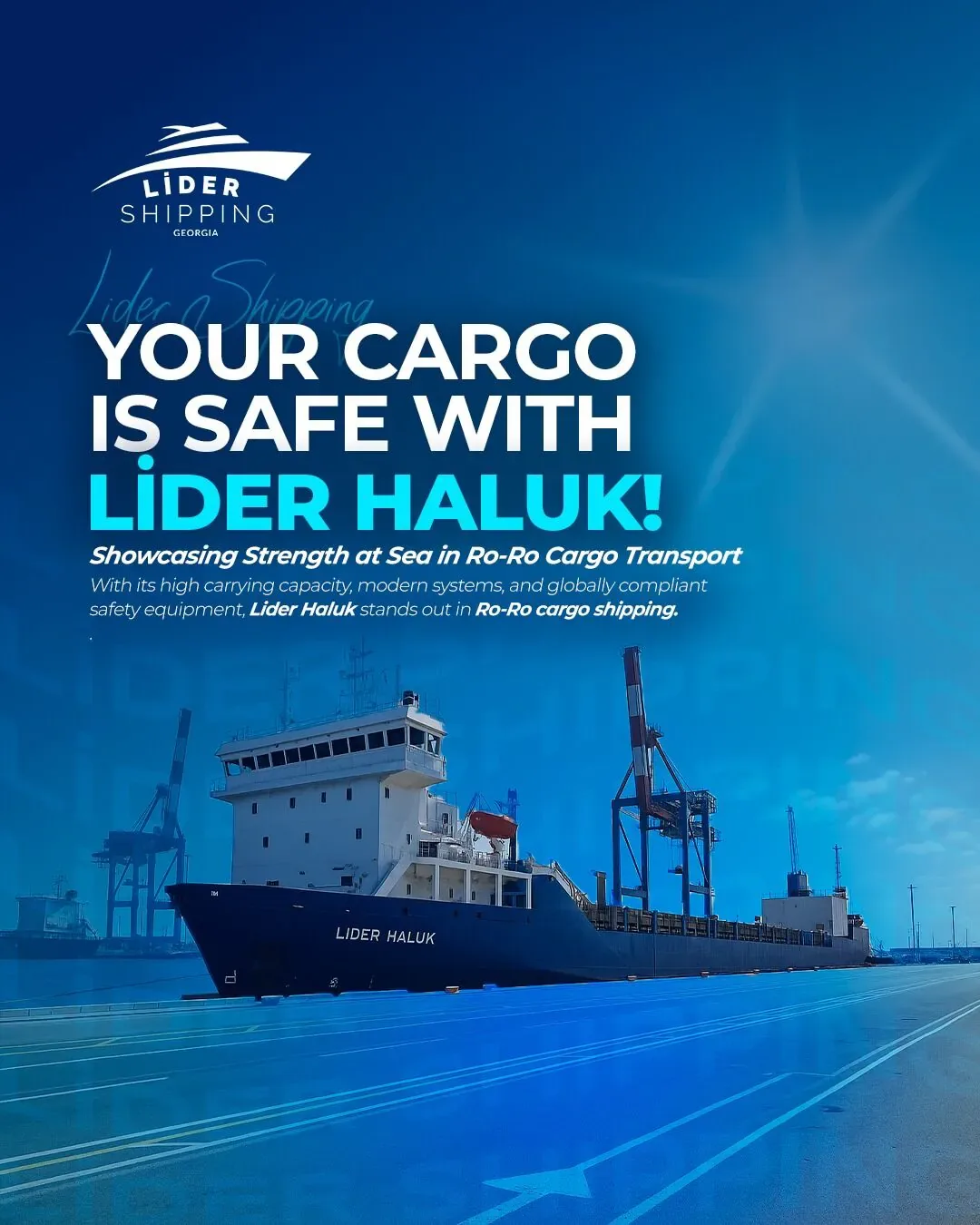 Lider Shipping Georgia sosyal medya referansı (Post)