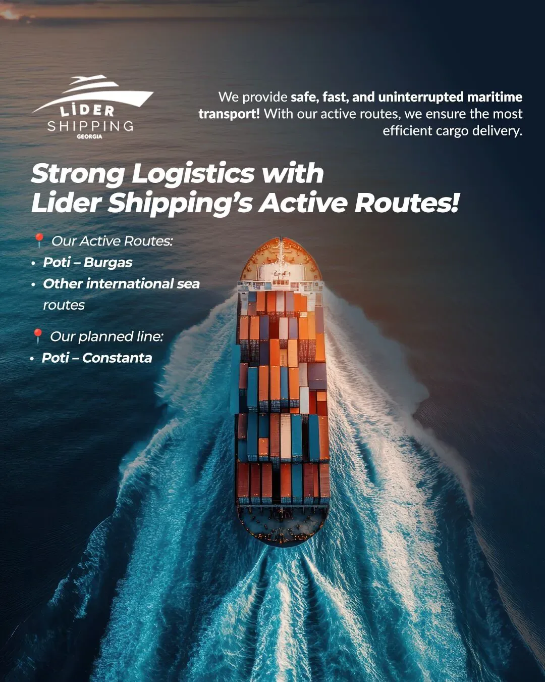 Lider Shipping Georgia sosyal medya referansı (Post)